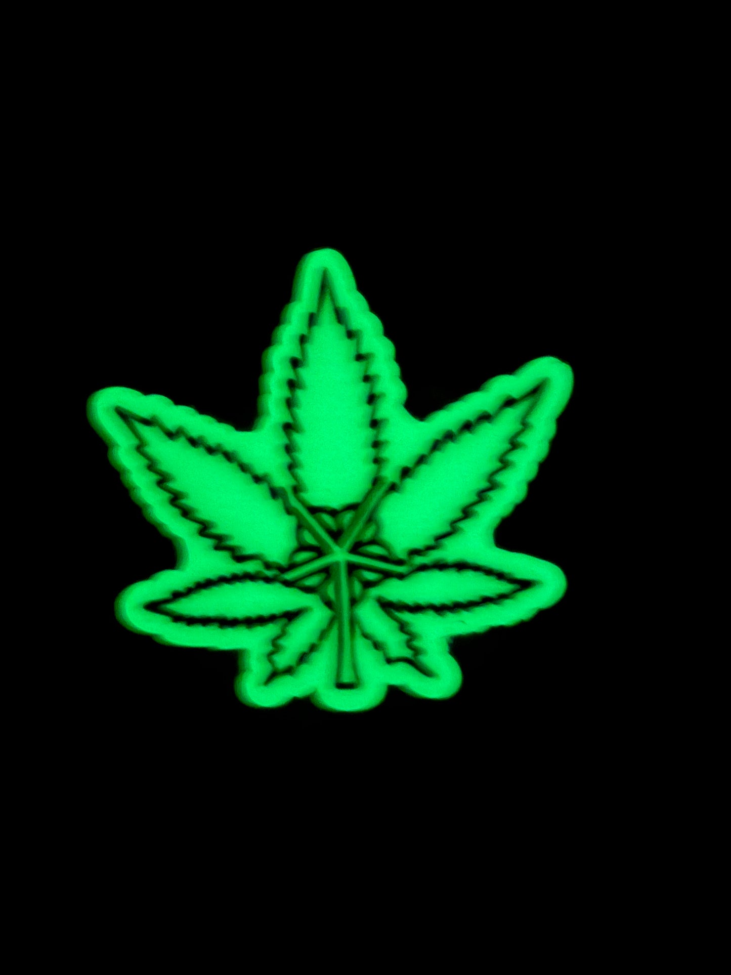 Glow In The Dark Rochester Leaf